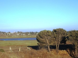 “המצב המשפטי של רמת הגולן – קשה”