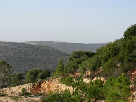 כל מה שרציתם לדעת על הפקת ימי גיבוש מוצלחים