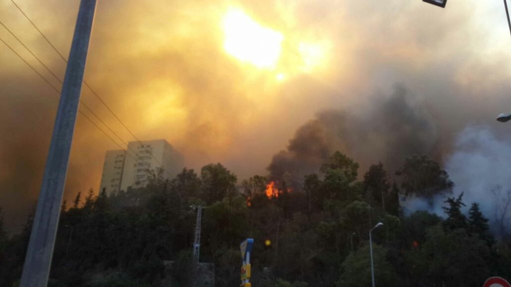 אינתיפאדת אש. הצתות ברחבי יו”ש. היישוב נווה צוף חלמיש פונה בשל שריפת ענק.