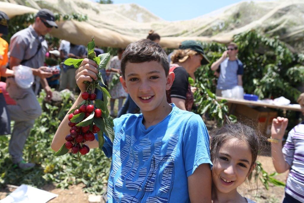 פסטיבל הדובדבנים ה-16 בגוש עציון