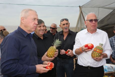 בדרך למליון: תוכנית לקליטת 10,000 תושבים חדשים בבקעת הירדן