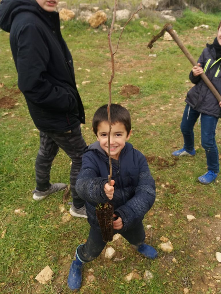 עולים ושותלים: ​​ט”ו הגיע חג לאילנות בגוש עציון