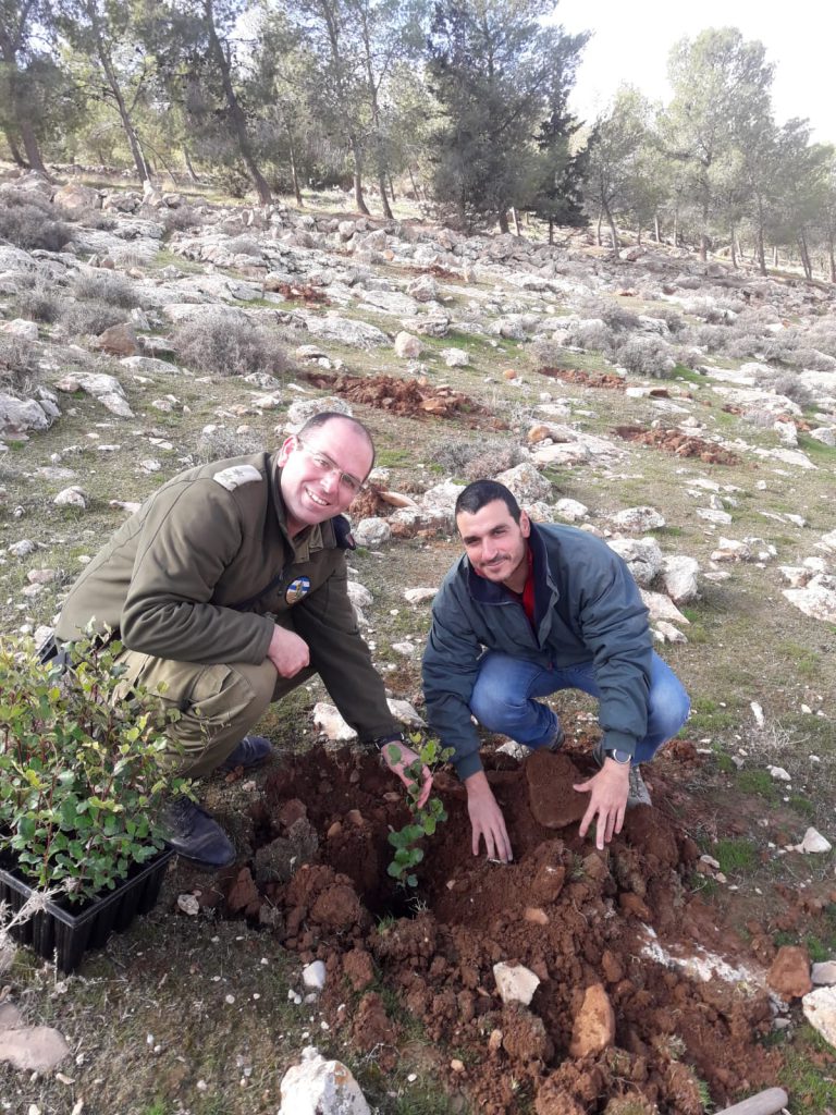 לקראת ט”ו בשבט: המנהל האזרחי החל בנטיעת עצים ביער כרמל בדרום הר חברון