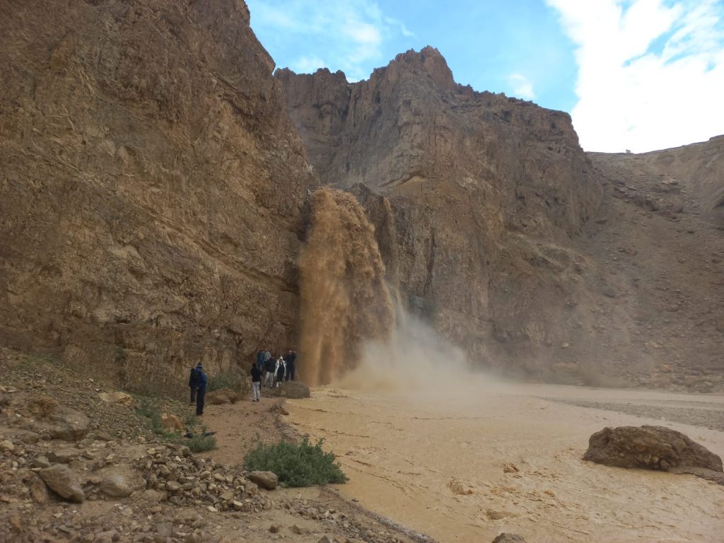 עשרות מטיילים יצאו לציד שטפונות במדבר יהודה | תיעוד
