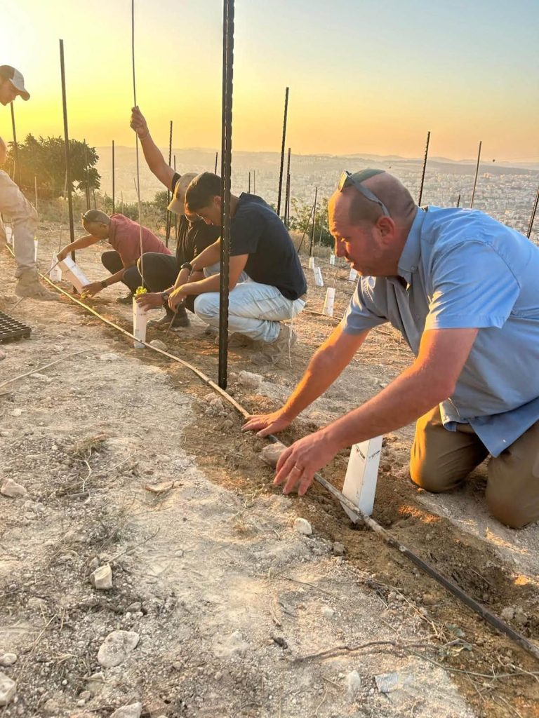 נוער ראש צורים נטע כרם ובנה פרגולה לזכרו של יונתן אלעזרי ז”ל