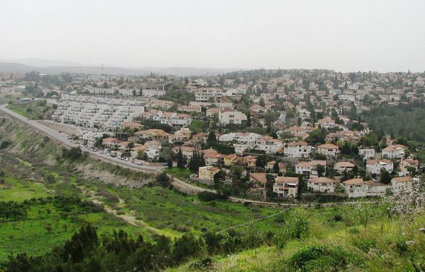 קבוצת הנדל”ן גביש שחם החלה במכירת פרויקט אורנית